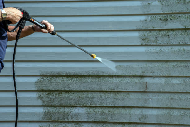 Best Pool Deck Cleaning  in Lake Caroline, VA